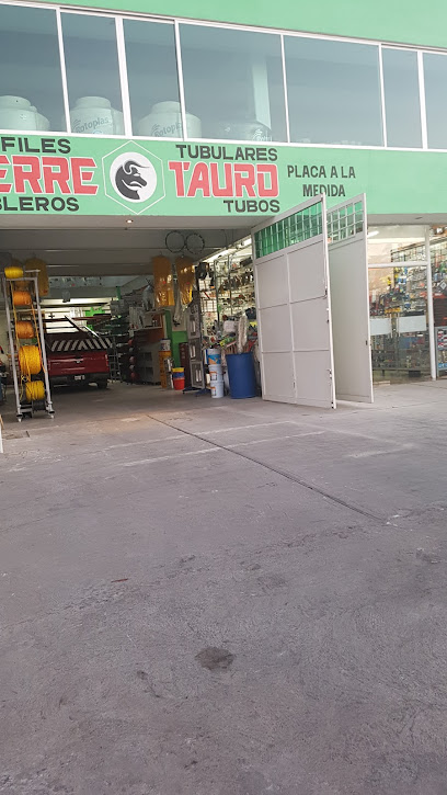 Ferretauro en Temascalcingo