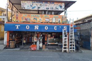 La Ferre del Sur en Tejupilco