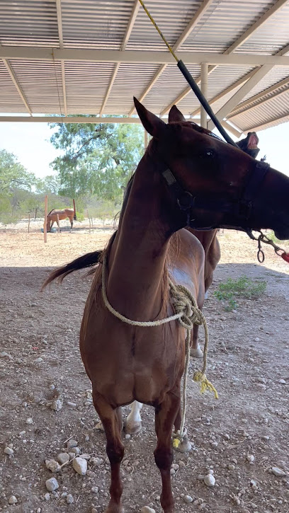 Materiales García en Santa Catarina