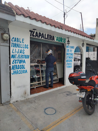 Tlapalería Auris en Chicoloapan