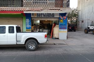Eléctrica del Bosque en Escuinapa
