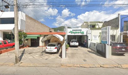 Selepro en Ciudad Guzmán
