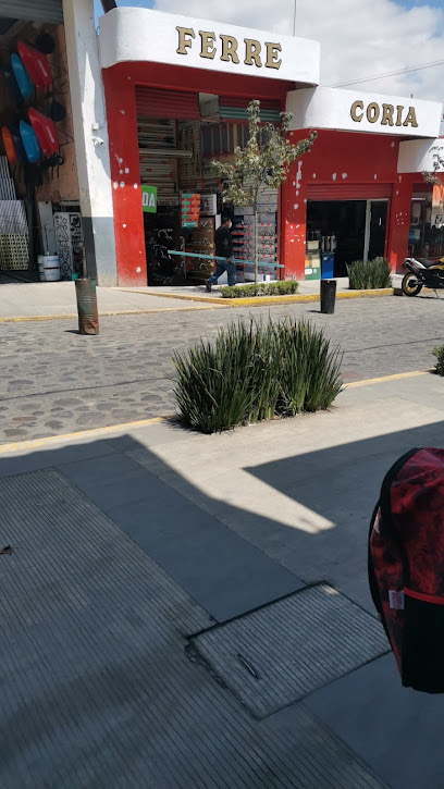 Ferrecoria Matriz en Coscomatepec