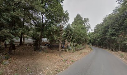 Ferre - Evolución en Tepoztlán