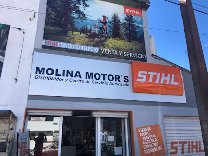 Distribuidor Stihl Autorizado en El Salto