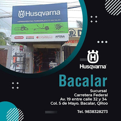 Motosierras Husqvarna Bacalar en Bacalar