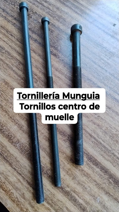 Tornillería y Taller Mecánico de Diesel Munguía en Compostela