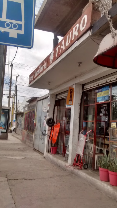 Ferre-Tornillería Tauro en San Luis Potosí