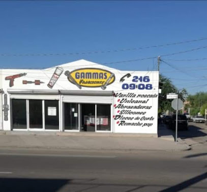 Gammas Fijaciones en Hermosillo