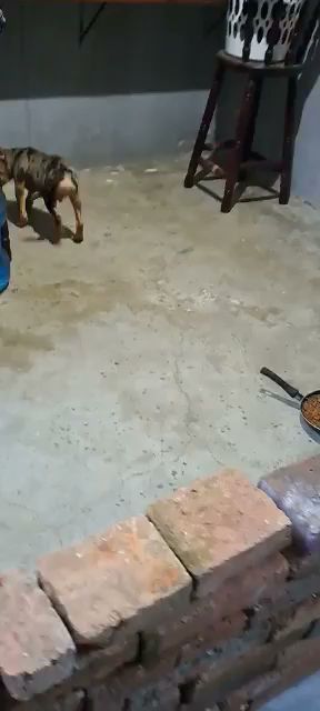 Camino Verde en Tijuana