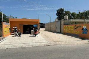 El Experto Osito Constructor en Hunucmá