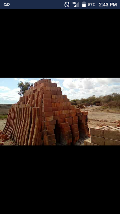 Venta de Ladrillos en Tecuala