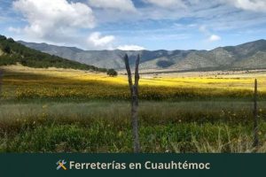 Ferreterías en Cuauhtémoc