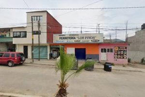 Ferretería Los Pinos en Santiago Juxtlahuaca