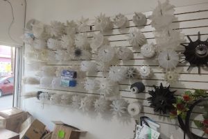 La Casita del Embobinador en San José del Cabo