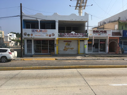 Señor Led en Manzanillo