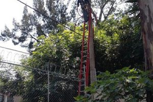 Desarrollo Integral de Ingeniería S.A. de C.V. en Xochimilco