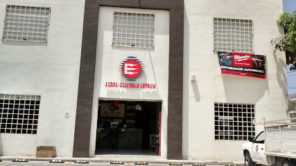 Eléctrica Express en Puerto Vallarta