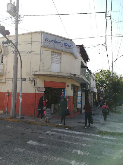 Eléctrica Mina en Guadalajara