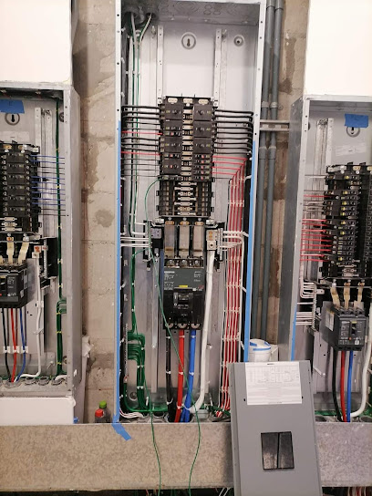 Electricidad y Maaas en Álvaro Obregón