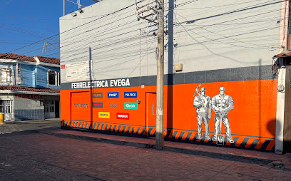 Eléctricos Vega en Tonalá