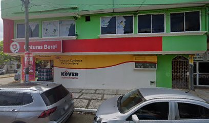 Electro Control Coatzacoalcos S.A. de C.V. en Coatzacoalcos