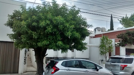 Electro Instalaciónes Industriales S. A. de C. V. en Soledad de Graciano Sánchez