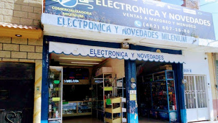 Electronica Milenium en Irapuato