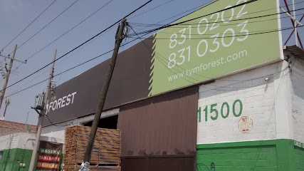 Madereria Tym Forest Soledad en Soledad de Graciano Sánchez