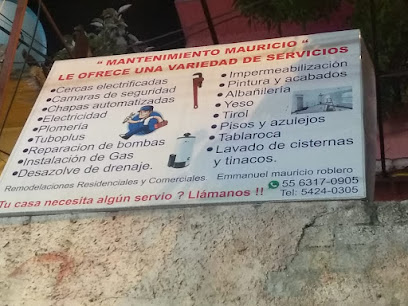 Mantenimiento Mauricio en Tlalpan